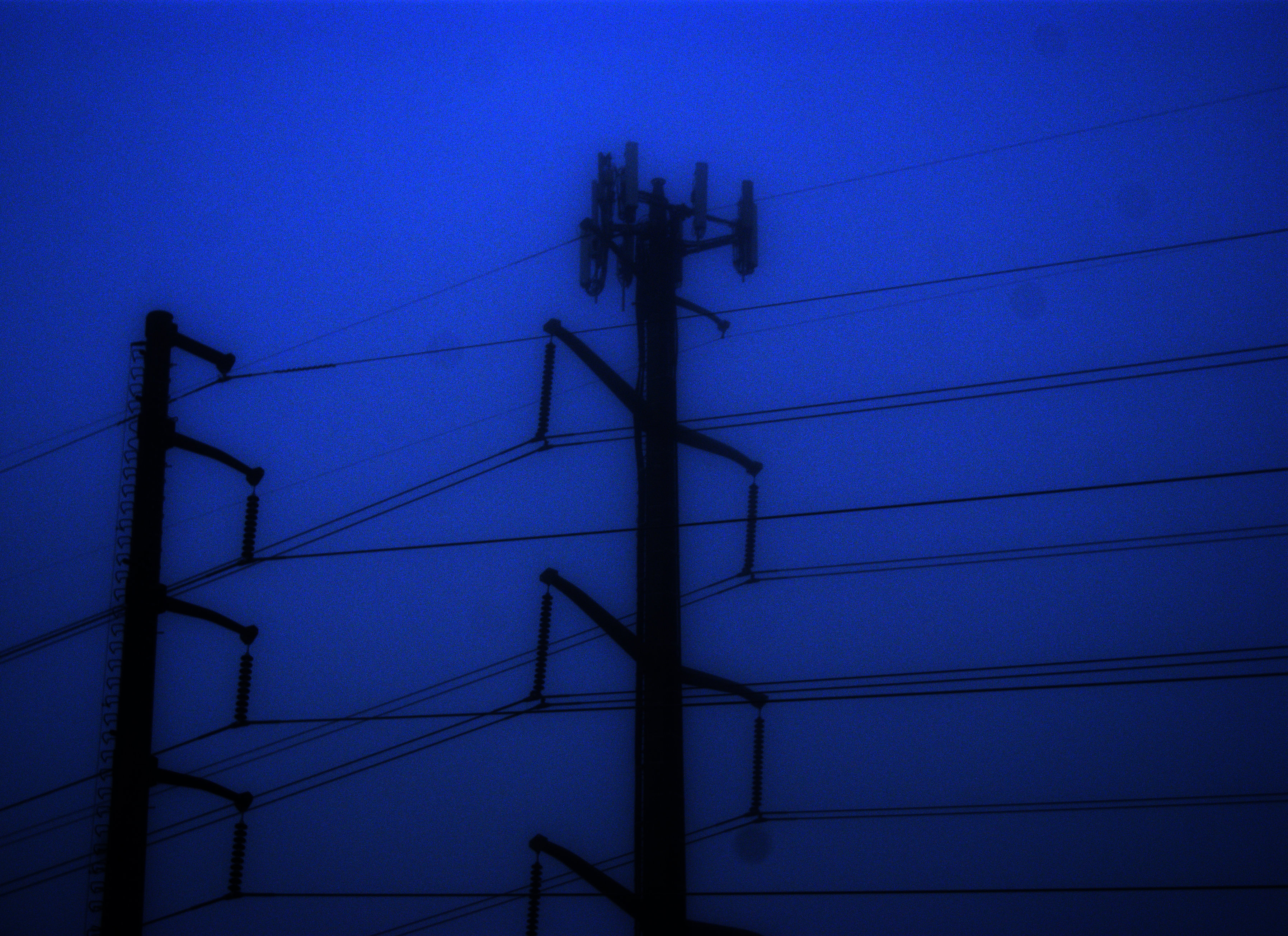 Syndicate 708 photo